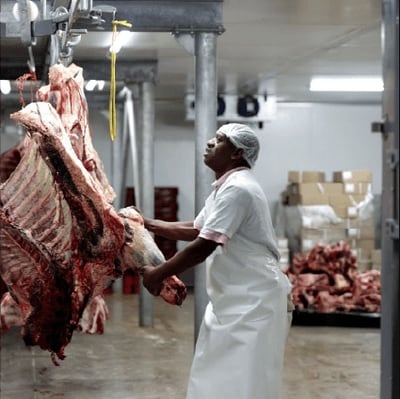 Butcher moving a carcass through the Kalahari cold room