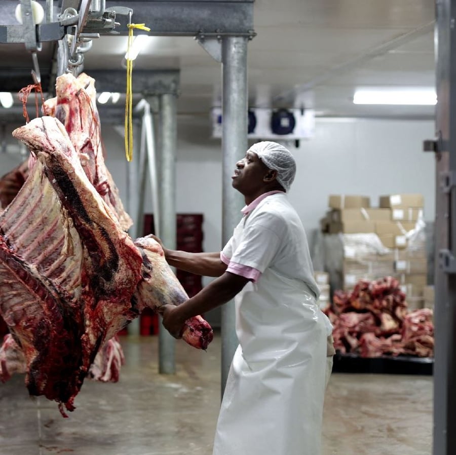 Butcher moving a carcass through the Kalahari cold room