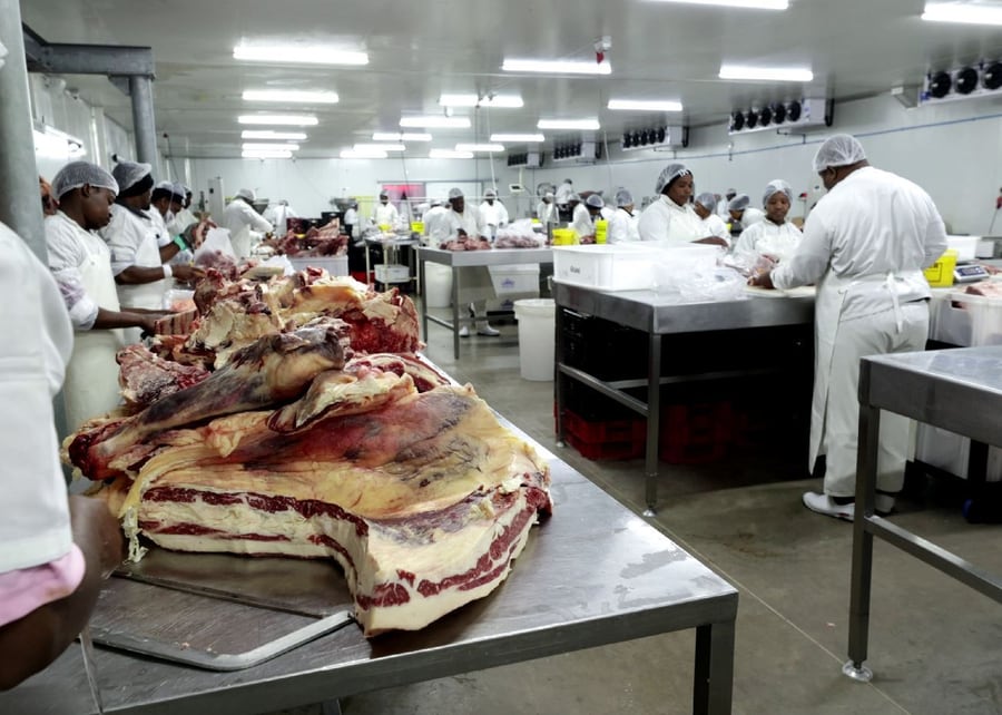 Beef being broken down on the Kalahari cutting floor