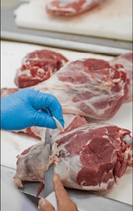 Gloved hands deboning meat on the cutting line