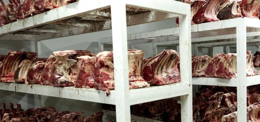 Beef ageing on racks in the dry-age room